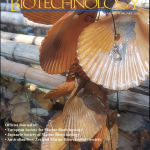 New Publication: Identifying the Autosomal sdY Locus in Atlantic Salmon